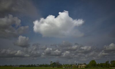 NDS Cloud mijlpaal: openbaarmaking Het Ontwerp