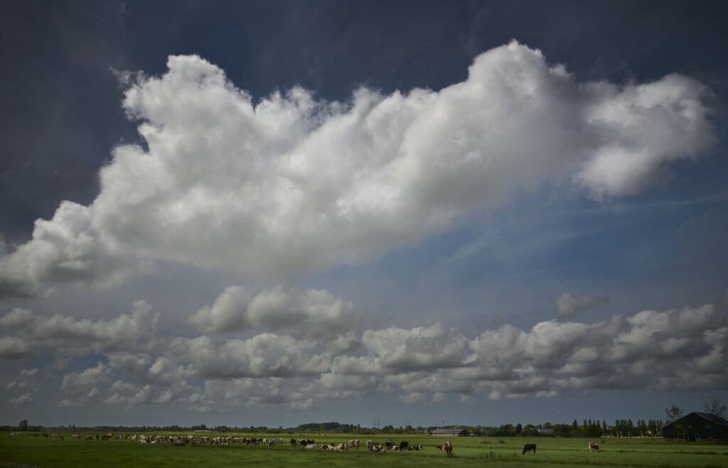 Cloudgebruik: nieuwe handreiking helpt overheden